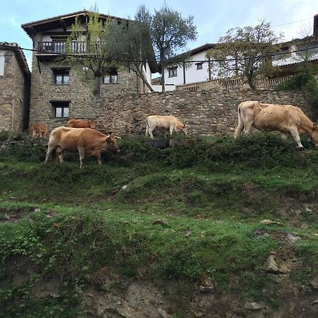 Casa Tia Upe Βίλα San Román de Cameros Εξωτερικό φωτογραφία