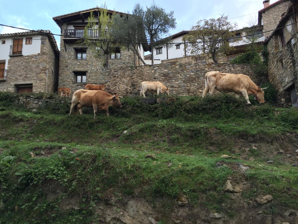 Casa Tia Upe Βίλα San Román de Cameros Εξωτερικό φωτογραφία